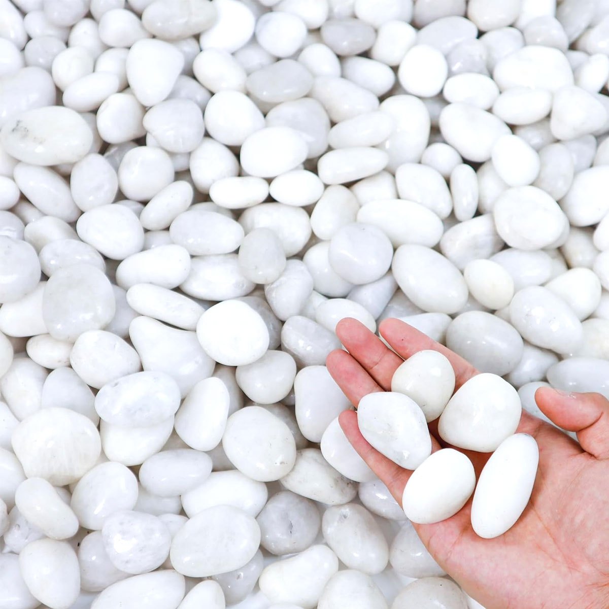 Aquarium Sand White - 400g Witte Gepolijste Natuurlijke Rivierkiezels 2-3cm