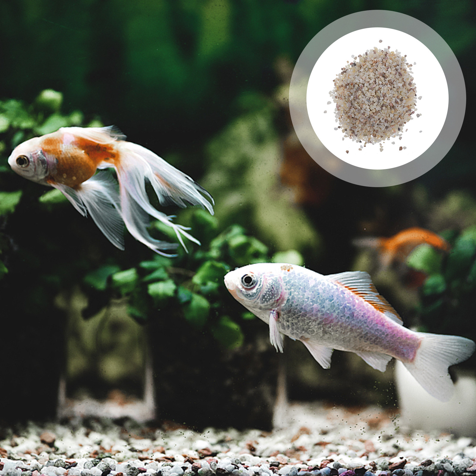 Aquarium Plant Gravel - 1 set gladde, kleurrijke aquariumgrind decoratieve