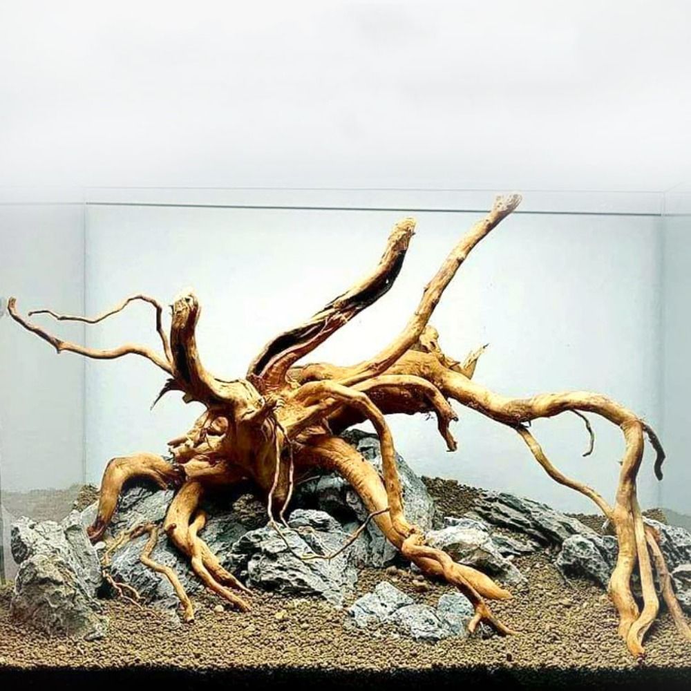 Aquarium Planted Wood - Natuurlijke Boomstam Aquarium Decoratie Hout Kunstwerk