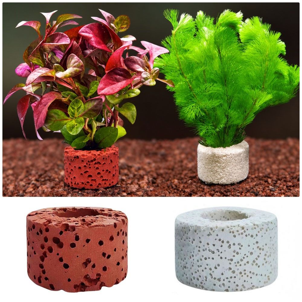 Planted Aquarium Pictures - 10 stuks gewogen ring aquatische plantenbevestigingsring