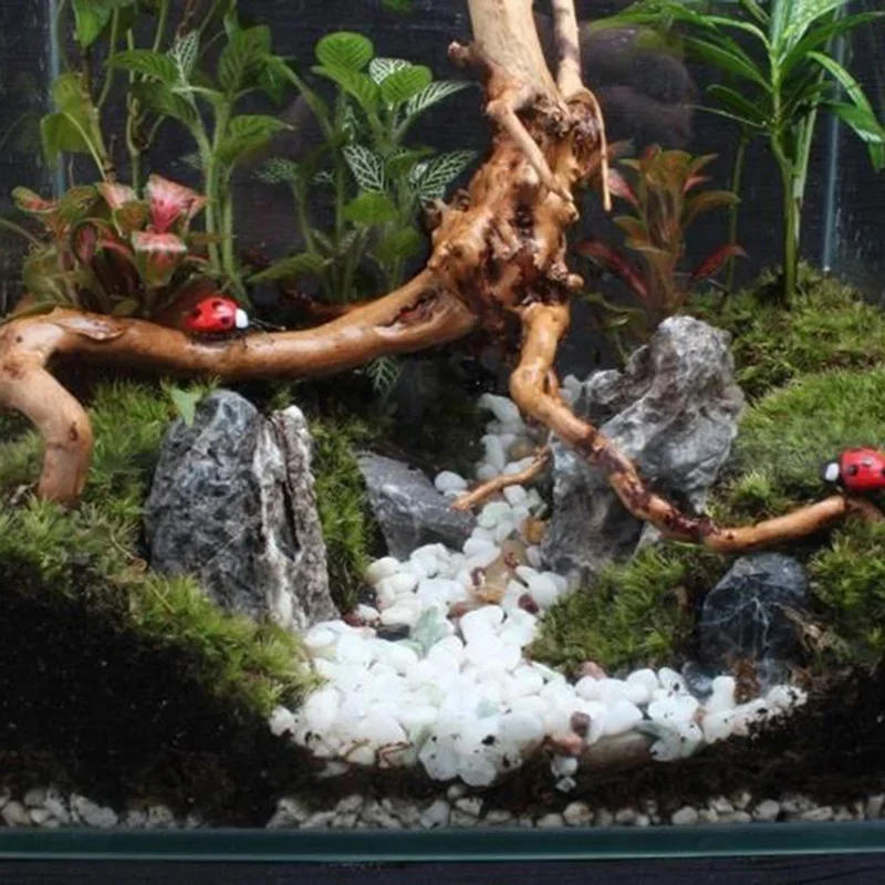 Natuurlijke Boomstam Drijfhout - Aquarium Planted Wood recensie en prijs