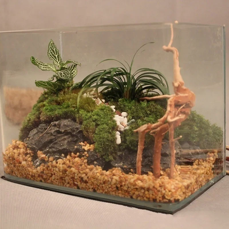 Natuurlijke Boomstam Drijfhout - Aquarium Planted Wood recensie en prijs