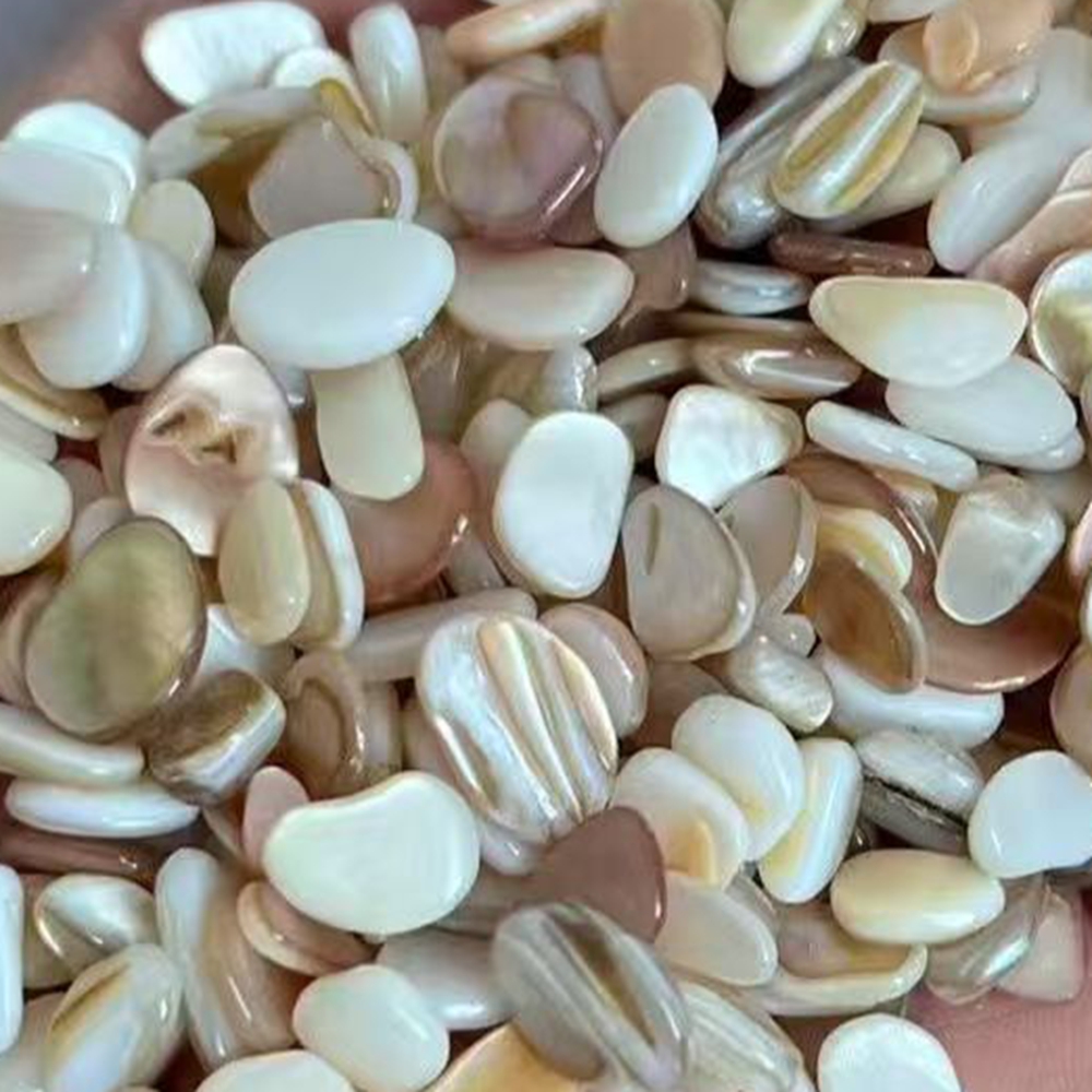 50 stuks 4-7mm Niet Geboord Na - Aquarium Sand White recensie en prijs
