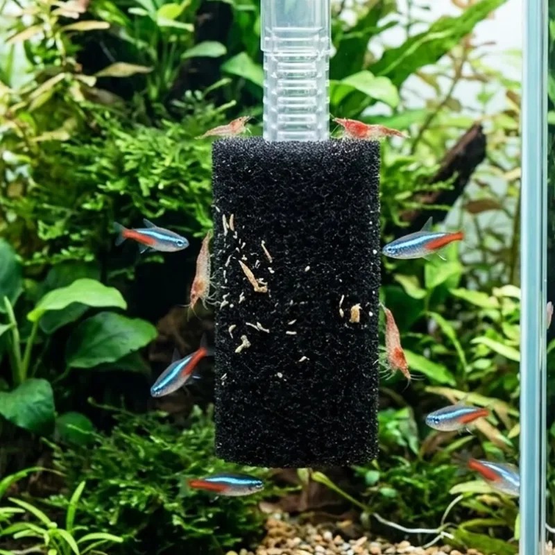 50/5x Pre-filter spons aquariu - Aquarium Planted Filter recensie en prijs