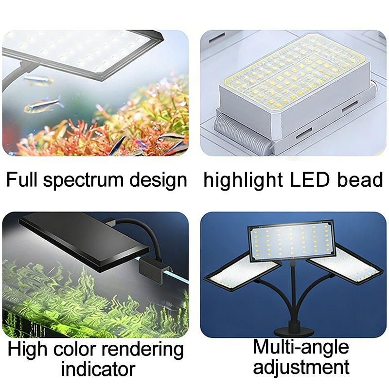 Aquarium Visbak Volspectrum LE - Planted Aquarium Cycling recensie en prijs
