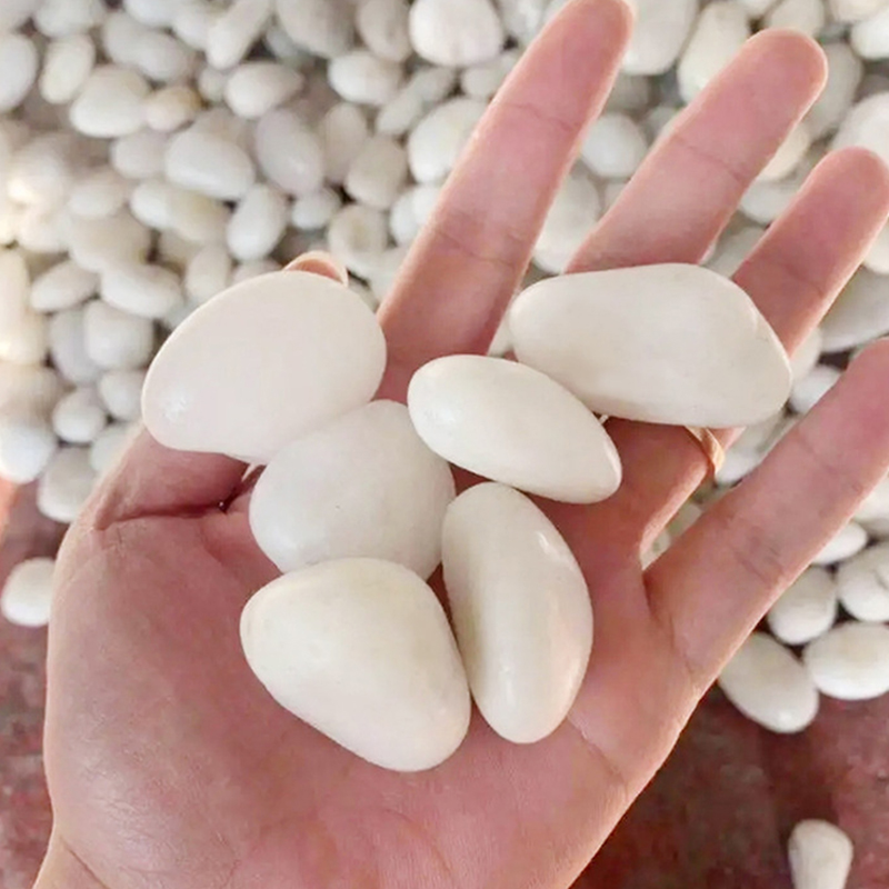 Natuurlijke witte gepolijste r - Aquarium Sand White recensie en prijs
