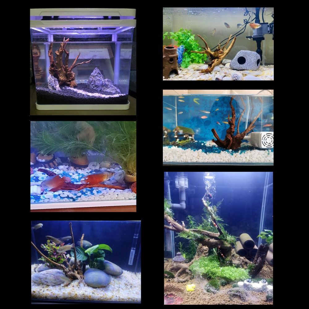 Natuurlijke Boomstam Aquarium  - Aquarium Planted Wood recensie en prijs