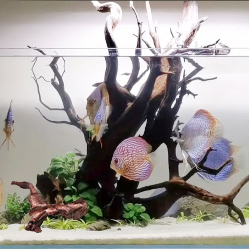 Creatief gevormd koraalhout, n - Aquarium Planted Wood recensie en prijs