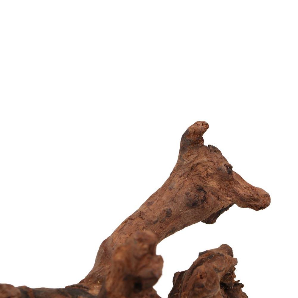 Creatief gevormd koraalhout, n - Aquarium Planted Wood recensie en prijs