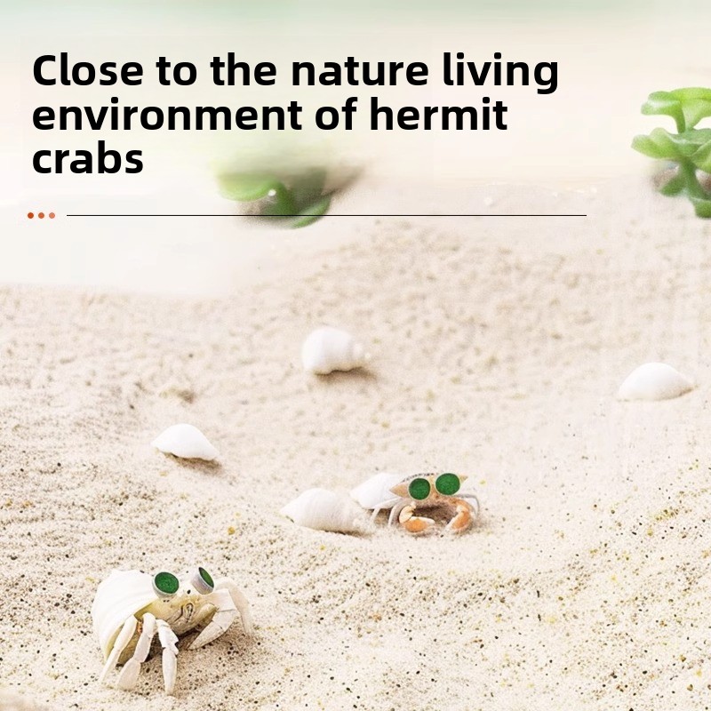 FKSC Heremietkreeftzand- en aq - Aquarium Sand White recensie en prijs