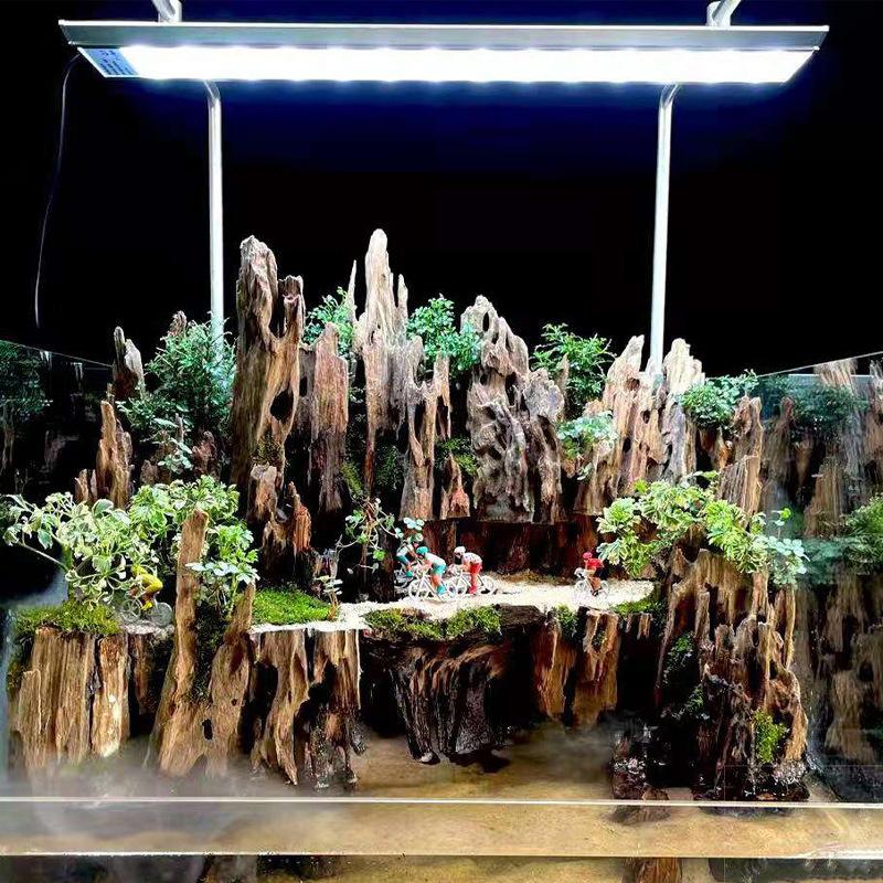 △   Garnalenhout aquariumdecor - Aquarium Planted Wood recensie en prijs