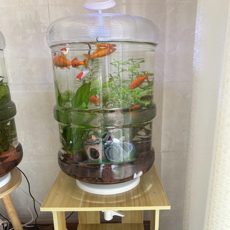 Instant Setup Home Fish Tank 3 - Aquarium Planted Setup recensie en prijs