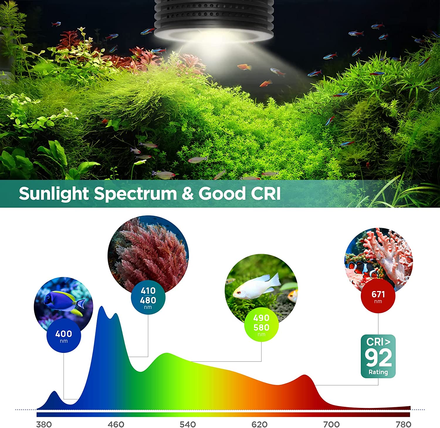 Lominie Asta 20 Zoetwater 18 W - Planted Aquarium Uv Light recensie en prijs