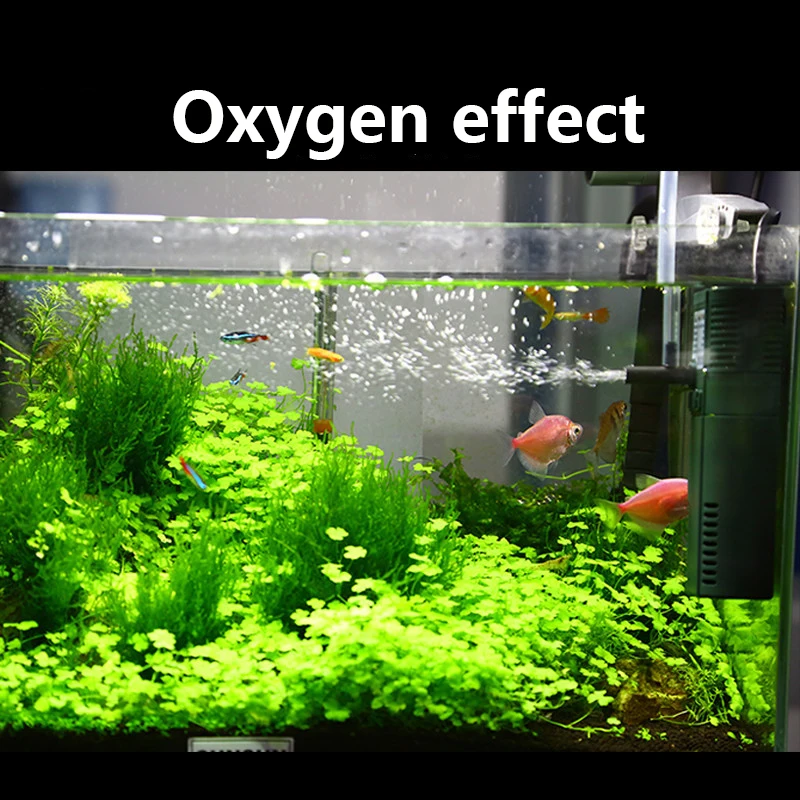 Sunsun Mini Nano 111b 311b 611 - Aquarium Planted Filter recensie en prijs